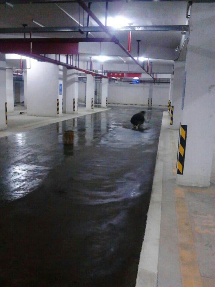 廣東云浮恒大城1#地下室停車場(chǎng)通道地坪漆工程施工進(jìn)程
